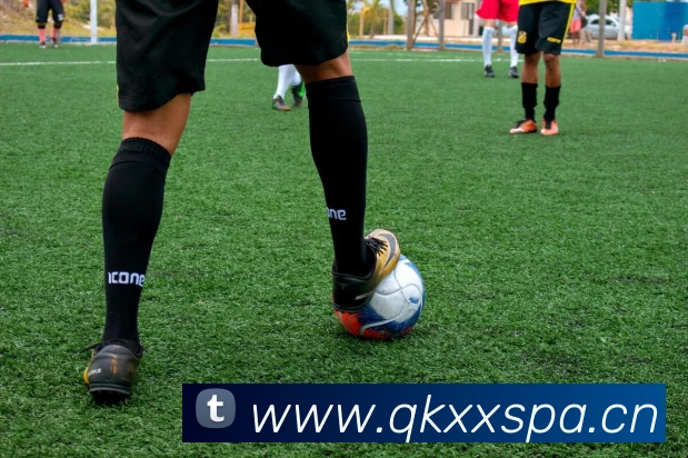 milan登录入口品牌故事